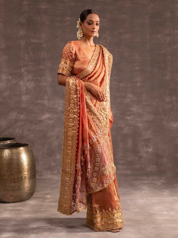 Rust Crushed Banarasi Silk Tissue saree - Image 3
